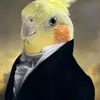 mariosantanna4200