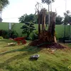 dd_wiratama2