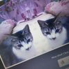 lluv.alunna