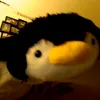 _uselessdan_