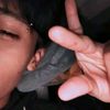 pedro_hdz.a