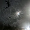 sebaa_pl