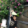hamy300920.11