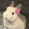 aquariuspinky