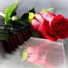 userfkve5davgb
