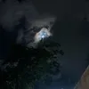 crzyjepo