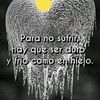 chelitoayala8