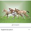 user771355995713