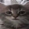 _h3heh3h