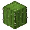 cactusjuice666