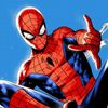 insomniacspider_