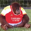 dombennett17