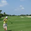 scottycollins0386