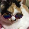 supercoolcat_0