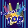 Forrozeiro Top