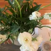 botanicalquotient