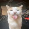 soy_hola00