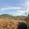 thuadrong