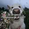 danuuuuu16
