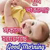 amirshahzad8141