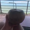 quynhnhubaochau0