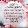 zainabmuhammad551