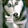 春嬌與志明