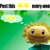 user081d1fy9sa