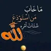 user6819962259032