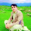 hafeezmashwani5566