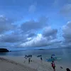 ligfjparsa