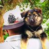 akirathegsd