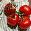 missredrawtomato