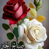 adilomar128