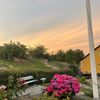 viki.21080