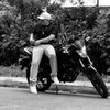 donis351boar