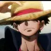 luffy.taro4709