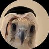 as_jj1