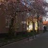 maja_.wrb
