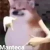 mrfreet7