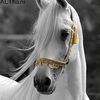 l7bkl
