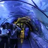 seaworld031