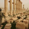 palmyra_777