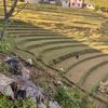 susmathapa392