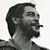 gov.ali