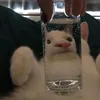 vv_vv18