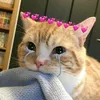 karlo_ky