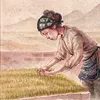 Tâm An - Bếp Trên Đỉnh Đồi