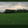 menggayvenida