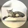 authentiqueetvraie